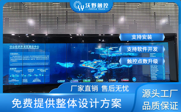 浙江某政府65寸1×8豎20點觸摸